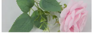 Close-up of artificial Austin pink rose with detailed petals and green silk leaves