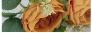 Gros plan de roses Austin en soie ambre avec pétales réalistes et feuilles vertes