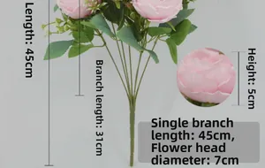 Detailed size measurement showing flower head diameter and height of pink Austin roses