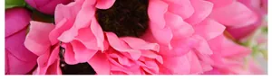 Macro-opname van kunstmatige roze gerbera-bloemblaadjes en getextureerd centrum