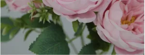 Detailed close-up of pink artificial Austin rose with realistic petals and green leaves
