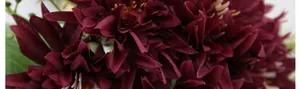 Macro shot of artificial burgundy daisy petals showing fabric texture and detail
