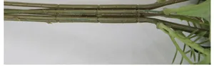 Detailed macro view of the realistic green plastic stems and branch joints of mini roses