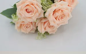 Vue détaillée de roses Austin champagne à 7 têtes avec pétales en soie et feuillage