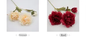 Close-up of champagne and red silk peonies featuring two large blooms and one small bud