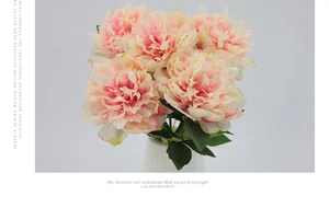 Detaillierte Nahaufnahme realistischer Pfingstrosen in Rosa und Creme mit Blättern