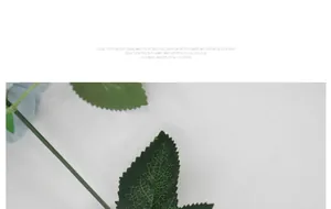 Gros plan détaillé de feuilles en soie vert foncé avec textures réalistes de pivoines