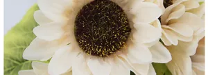 Macro detail of artificial cream sunflower with realistic fuzzy brown center and silk petals