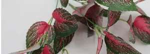 Close-up of artificial pothos leaves showing detailed red and green vein texture
