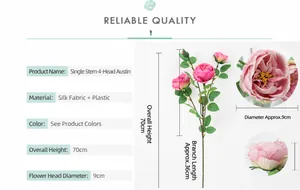Schema dimensioni per rose Austin rosa con altezza 70cm e diametro del fiore di 9cm