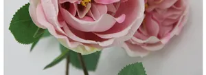 Macro-detail van een kunstmatige Austin roos met roze zijden bloembladen en textuur