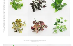 Detailed view of six artificial foliage styles including ivy and pothos with realistic veins