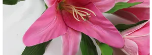 Close-up of pink 3D printed lily petals with white edges and yellow stamens