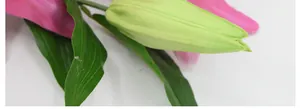 Macro shot of 3D printed lily showing realistic flower buds and green leaf texture