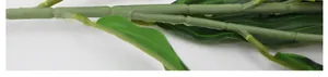 Detailed close-up of 3D printed lily stems with realistic textures and leaf nodes