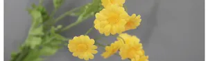 Makroaufnahme gelber Kunstblumen mit detailreichen Blütenblättern und grünen Stielen