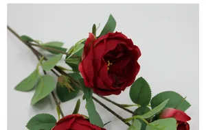 Macro-opname van realistische rode zijden Austin roos met gelaagde bloemblaadjes en blad