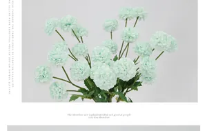 Macro detail van muntgroene kunstmatige chrysanten met weelderige dichte bloemblaadjes