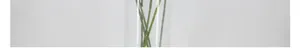 Detail of green stems inside a minimalist clear glass vase for modern home decoration
