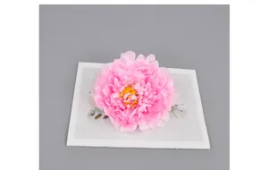 Makroansicht einer 20cm rosa Pfingstrose mit geschichteten Blütenblättern und Staubblatt
