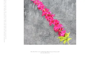 Détail de pétales de delphinium en soie magenta sur tige pour décoration intérieure