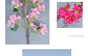 Detailopname van zijden bougainvillea bloemblaadjes en natuurlijk getextureerde bladeren