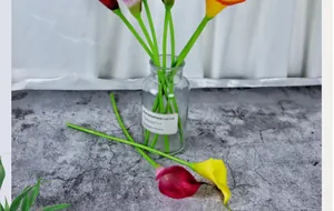 Makrodetail von bunten PU-Calla-Lilien mit realistischer Textur in einer Glasvase