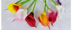 Detailansicht bunter Calla-Lilien-Sträuße auf einem weißen Seidenhintergrundstoff