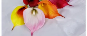 Makro-Detail künstlicher Calla-Lilien mit realistischer Textur und lebendigen bunten Blüten