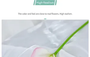 Detailopname van kunstmatige Calla Lelie met roze verloop op een zijden achtergrond