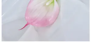 Nahaufnahme einer künstlichen Calla-Lilie mit rosa Farbverlauf und Textur