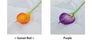 Detailweergave van kunstmatige calla lelies in zonsondergang rood en paars blad