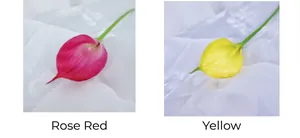 Gedetailleerde close-up van rozerode en gele kunstmatige calla lelie bloemblaadjes