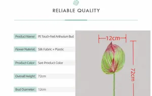 Detail van de rode en groene kunstmatige anthurium met afmetingen en realistische textuur