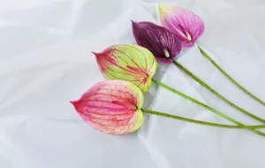 Macro-opname van kunstmatige anthuriumbloemen met realistische textuur in kleuren