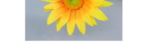 Close-up of artificial sunflower petals with yellow-orange gradient and textured green center