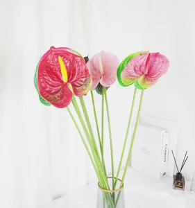 Fiori di anthurium artificiali in vaso di vetro per decorazione d'interni casa