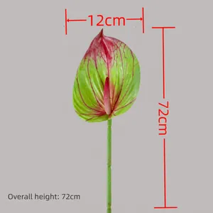Realistische kunstmatige groene Anthurium bloem, hoogte 72cm en breedte 12cm afmetingen