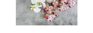 Detail of premium 9-head silk butterfly orchids in white and spotted pink petals