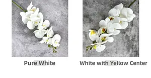 Detail view of 9-head Phalaenopsis orchid in Pure White and White Yellow Birdling colors