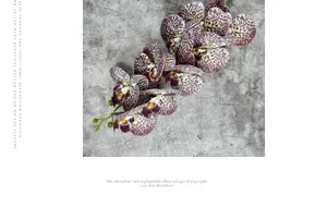 Close-up of 9-head purple phalaenopsis orchid with white dots and realistic yellow center