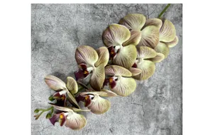 Close-up of artificial 9-head orchid with realistic purple veins on light green petals