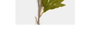 Nahaufnahme von künstlichem Hibiskus mit detaillierten Blättern und strukturiertem Stiel