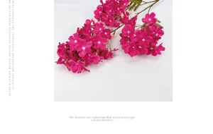 Detailed close-up of dark pink hydrangea petals with realistic green foliage and texture