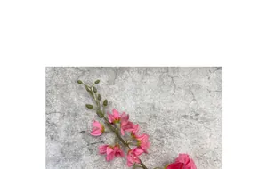 Detailansicht rosa künstlicher Maiglöckchen aus Seide mit realistischen grünen Knospen