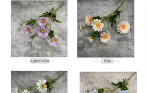 Detailansicht helllilafarbener und rosa Seidengänseblümchen mit gelben Staubgefäßen