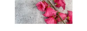 Close-up of pink silk lily of the valley flowers with delicate petals on gray stone
