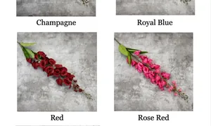 Detailvergleich von champagnerfarbenen, blauen, roten und rosenroten Maiglöckchenblumen