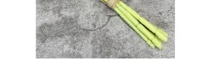 Detailed macro view of lifelike tulip stems with natural texture and fiber twine binding