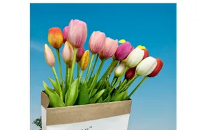 Detail of colorful artificial tulips in a paper bag with clear blue sky background